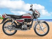 2009 Hero Honda CD Deluxe photo